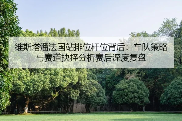 维斯塔潘法国站排位杆位背后：车队策略与赛道抉择分析赛后深度复盘